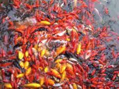 -泰安地下龙宫景区