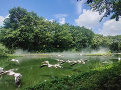 -珠海长隆海洋王国
