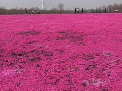 -东海森林温泉度假酒店