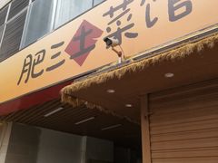 -肥三土菜馆(五四广场店)