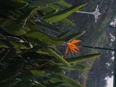 android_upload_pic-厦门悦华酒店