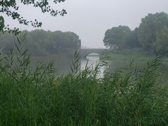 -大兴滨河森林公园