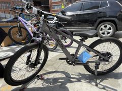 -道路口单车爱瓦士dahon大行