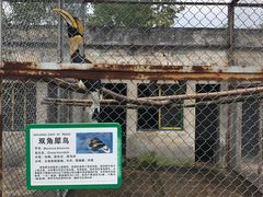 -合肥野生动物园