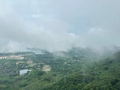 -呀诺达热带雨林
