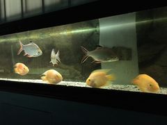 -沙扒湾