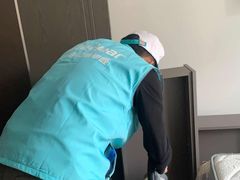 -Liteclear日本进口强效除甲醛检测治理(旗舰店)