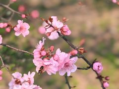 -江南大学(蠡湖校区)