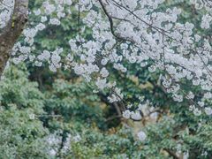 -中国茶叶博物馆(双峰馆区)