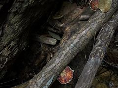 -飞霞风景名胜区