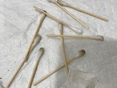 -宠爱国际动物医院·疑难骨科·心肾内科·皮肤科(太阳宫店)