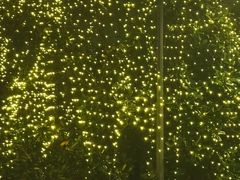 -西点坊(浦东香格里拉店)