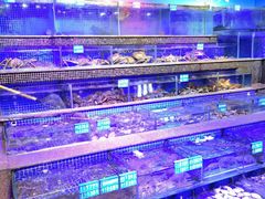 -青蓬蒸汽海鲜·深圳老字号·团建聚会(壹方城店)