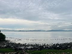 -深圳湾公园(南山区)