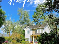 -金庭庄园酒店-停车场