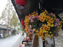 -安仁古镇