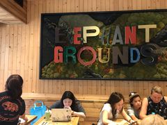 -Elephant Grounds(STARSTREET)