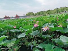 -长春市南湖公园