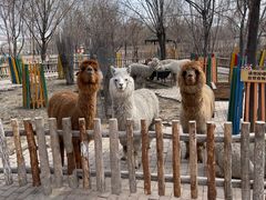 -水上乐园·欢乐世界