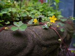 -艾加柒克蛋糕茶歇甜品台(春熙路店)