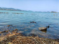 -长广溪湿地公园
