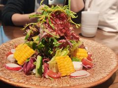 -Hatsune隐泉日式料理(三里屯太古里店)