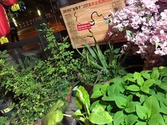 -老地方猫儿面(磁器口店)