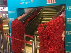 -美嘉欢乐影城(万象城店)
