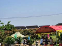 -小鱼草莓采摘园农家乐·小鱼餐厅
