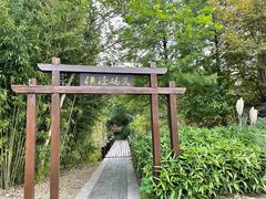 -沙家浜风景区