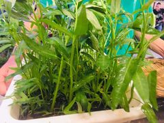 -茅草房·河畔园林火锅