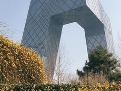 -中央广播电视总台(光华路办公区)