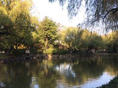 -瀛洲公园