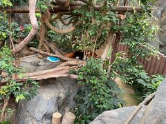 -香港海洋公园