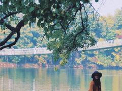 -东湖落雁景区