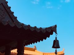 -深圳仙湖植物园