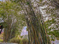 -崇阳三特浪口温泉