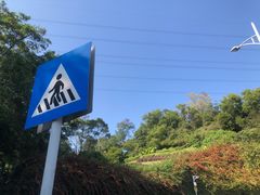 -深圳仙湖植物园