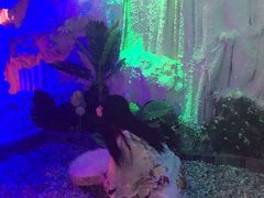 -水晶之星洗浴温泉汗蒸