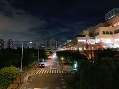 -台场海滨公园船码头