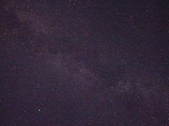 -武陵山森林公园