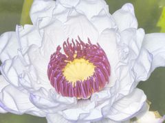 -北京植物园-展览温室