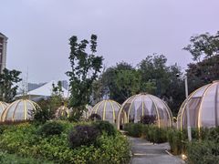 -悦见花开·花园里的火锅·露营·下午茶