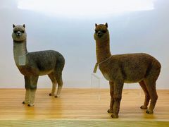 -银川河东国际机场