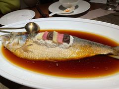 陈酿鲥鱼-梅花境(万科店)