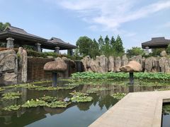 -南京银杏湖乐园