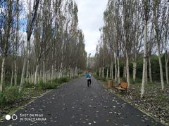 -东郊湿地公园