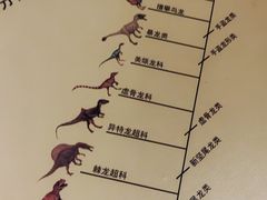 -柳州白莲洞洞穴科学博物馆