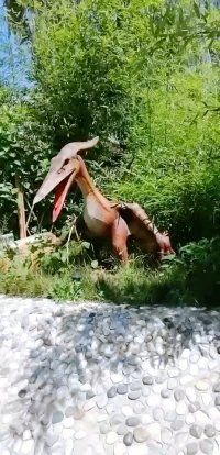 -雪山彩虹谷景区