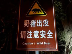 -紫金山山顶公园
